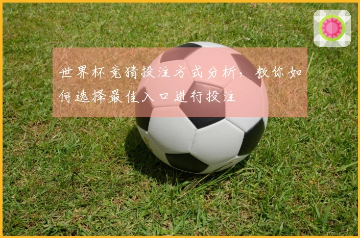 世界杯竞猜投注方式分析，教你如何选择最佳入口进行投注