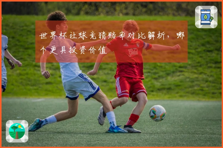 世界杯让球竞猜赔率对比解析，哪个更具投资价值