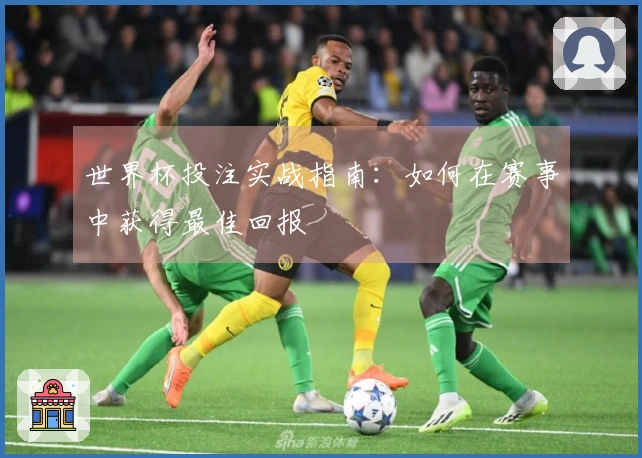 世界杯投注实战指南：如何在赛事中获得最佳回报