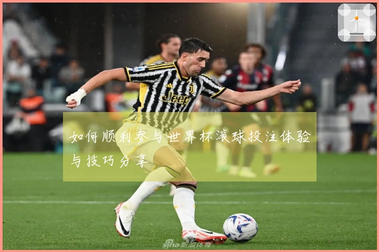 如何顺利参与世界杯滚球投注体验与技巧分享