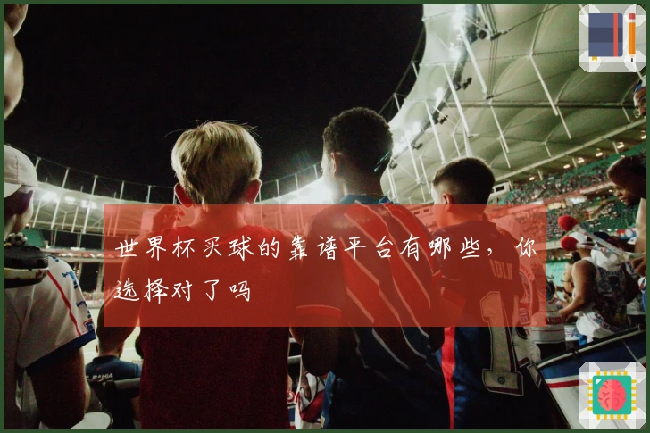 世界杯买球的靠谱平台有哪些，你选择对了吗