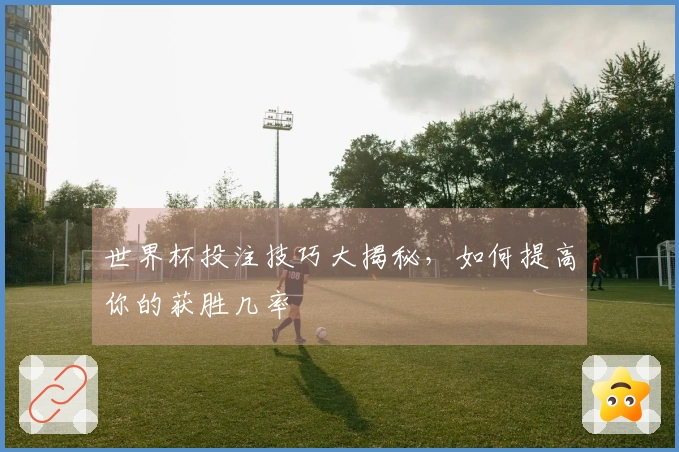 世界杯投注技巧大揭秘，如何提高你的获胜几率