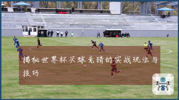 揭秘世界杯买球竞猜的实战玩法与技巧