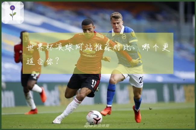 世界杯滚球网站推荐对比，哪个更适合你？