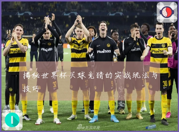 揭秘世界杯买球竞猜的实战玩法与技巧