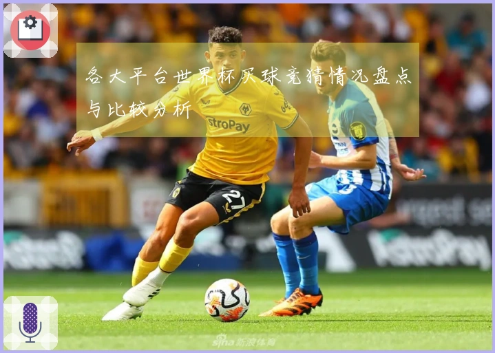 各大平台世界杯买球竞猜情况盘点与比较分析
